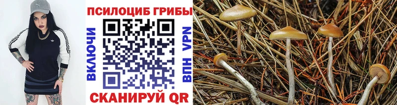 Псилоцибиновые грибы мухоморы Купить закладки Шумиха